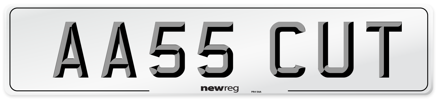 AA55 CUT Number Plate from New Reg